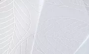 Рулонная штора FixLine SHADE